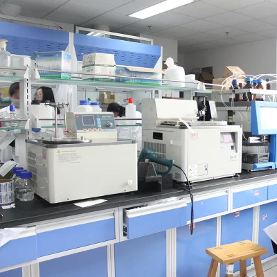 Factory Supply 10%- 80% Notoginsenoside Radix Notoginseng Extract