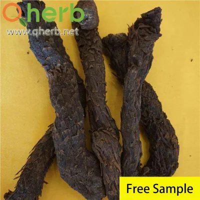Cistanche Tubulosa Extract Acteoside