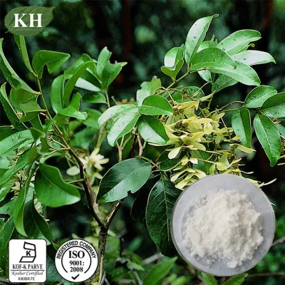 Engelhardtia Roxburghiana Extract Astilbin