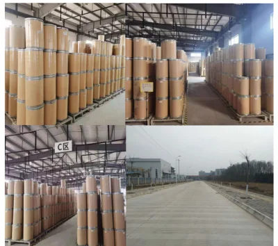 Factory Supply High Quality Notopterygium Root P. E. Powder Extract/ Incised Notopterygium/Rhizoma Seu Radix Notopterygii Extract