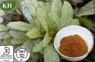 Engelhardtia Roxburghiana Extract Astilbin