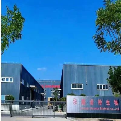 Factory Supply High Quality Notopterygium Root P. E. Powder Extract/ Incised Notopterygium/Rhizoma Seu Radix Notopterygii Extract