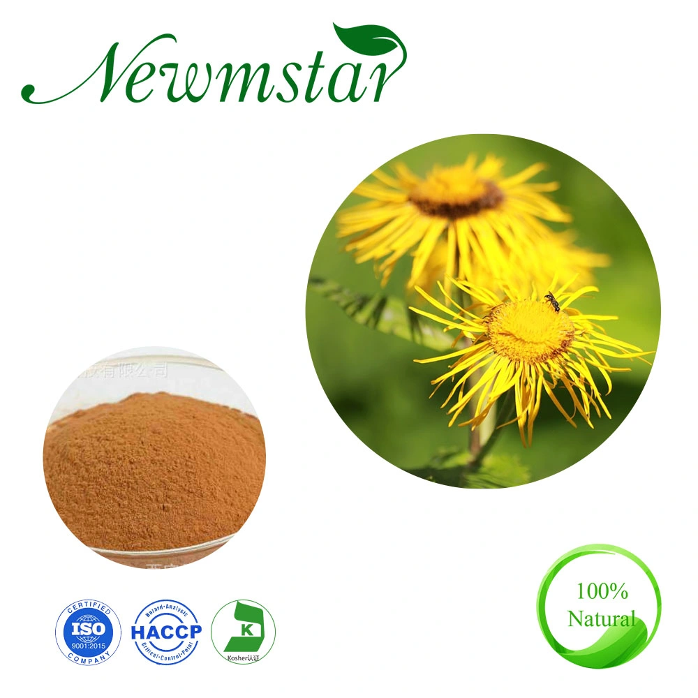 Hot Sale Plant Extract Elecampane Extract /Elecampane Alantolactone 1.2% Powder Extract