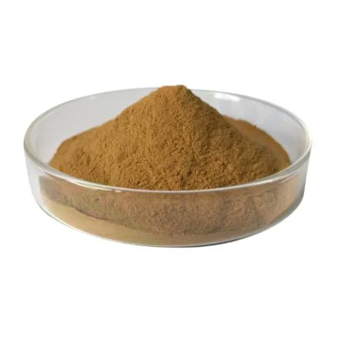 Hot Sale Plant Extract Elecampane Extract /Elecampane Alantolactone 1.2% Powder Extract