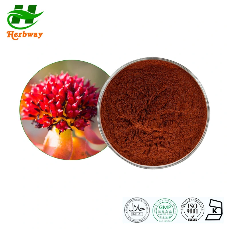 Herbway Whosale Price Rhodiola Rosea Root Extract with Rosavin Powder 4%