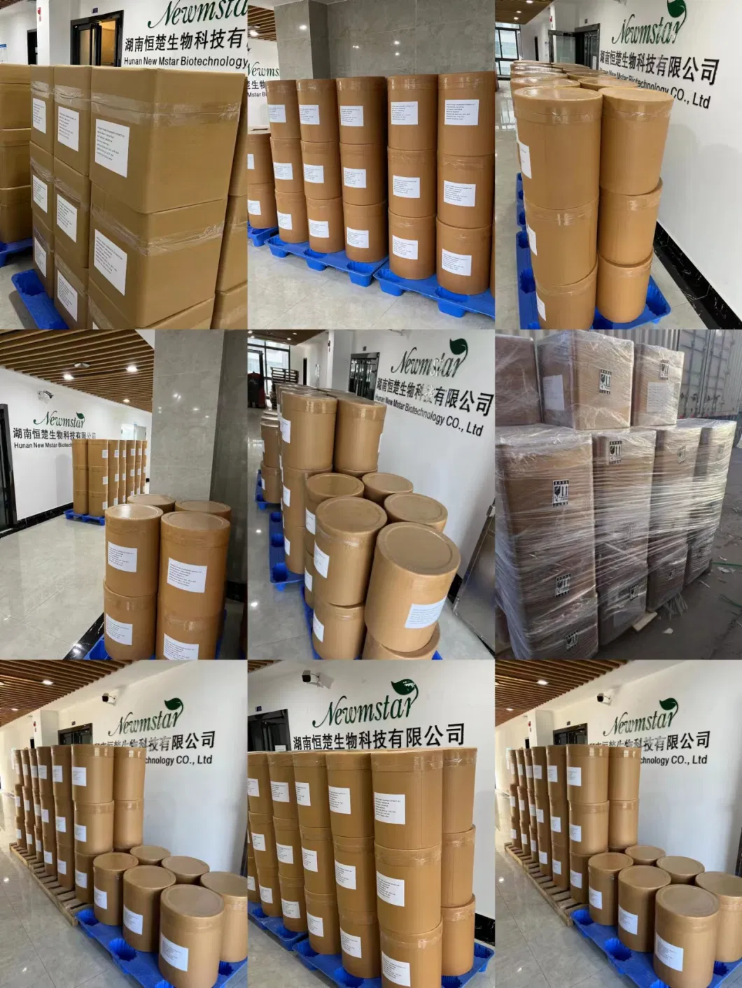 Hot Sale Plant Extract Elecampane Extract /Elecampane Alantolactone 1.2% Powder Extract