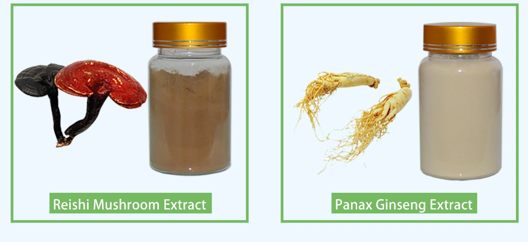 Natural Three-Seven Root Extract with Ginsenosides 75% HPLC Notoginsenoside R1 &amp; Ginsenoside Rg1 Re Rb1 Rd