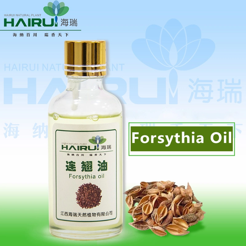 Hot Sale Weeping Forsythia Oil 100% Pure Natural Weeping Forsythia Oil