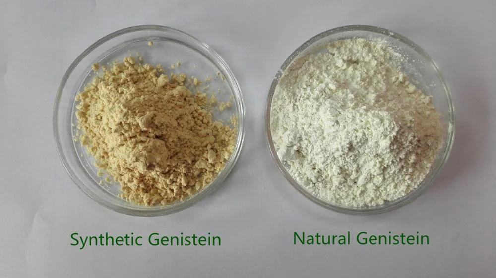 High Quality Genistein Extract CAS 446-72-0 98% Genistein Powder