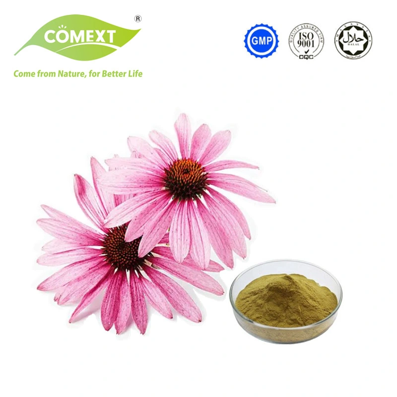 Comext High Purity Factory Direct Supply Echinacea Purpurea Extract Powder 10%-40% Echinacoside for Supplement