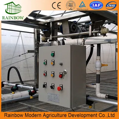  Micro Sprinkler Irrigation Greenhouse China Manufacturer