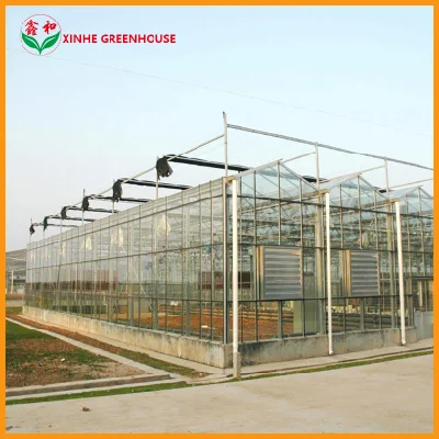  Agricultural Multi Span Venlo Glass Greenhouse for Flowers