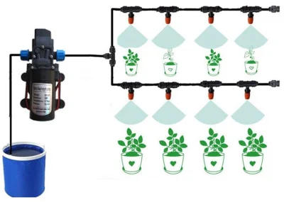 Pump Flower Sprinkler with Automatic Watering System