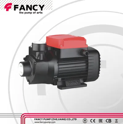  AC Micro Peripheral Water Pumps for Household Pipeline Boosting Qb