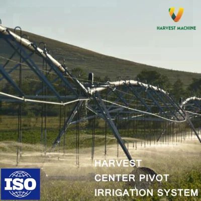  Plastic Pop-up Sprinkler for Irrigation