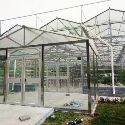  Hot Galvanized Steel Frame Structure Plastic Sheet Hydroponic Systems Greenhouse