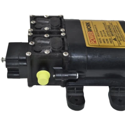 High Flow Battery Operated Motor Water Sprayer Pump Electrical Micro Irrigation Double 12VDC Diaphragm Pumps