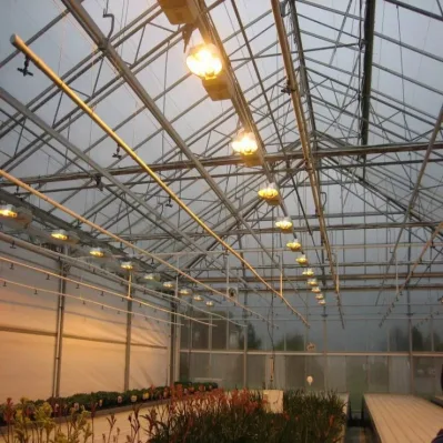  Hot-DIP Galvanized Steel Frame Plastic Aeroponics System Hydroponic for Greenhouses Garden Greenhouse Polycarbonate Sheet
