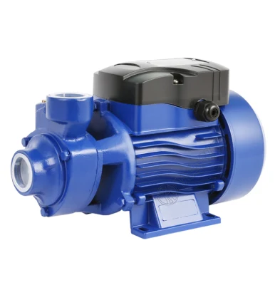  Werto Qb60 Iron Cast Brass Impeller Electric Peripheral Vortex Micro Auto Surface Graden Pump for Agriculture Irrigation Water Pump