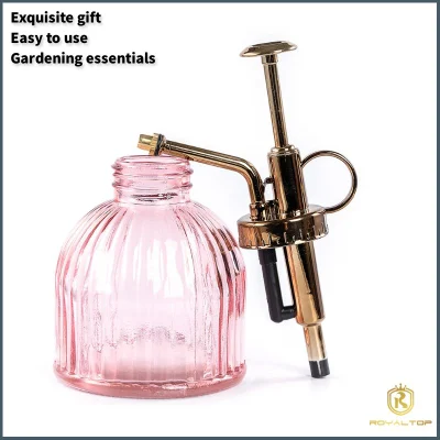 Small Glass Watering Can 200ml Spray Bottle Glass Plant Mister with Plastic Top Pump for Indoor Potted Plants