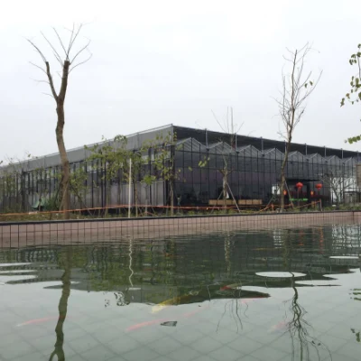  Intelligent Glass Green Houses with Cooling System