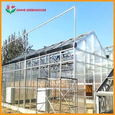  Vegetable Fruits Flowers Plastic Sheet Garden Hydroponic for Greenhouses Aeroponics System Greenhouse