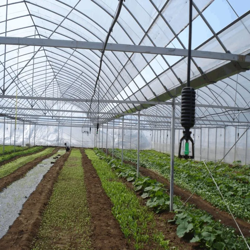 Cost-Effective Plastic Mini Rotating Micro Sprinkler Irrigation System for Greenhouse