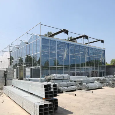  Galvanizado en caliente de Venlo gases de efecto invernadero de cristal templado con aislamiento