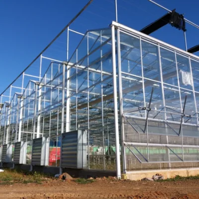  La agricultura de invernadero de cristal Multi-Span Venlo Invernaderos de tomates o flores
