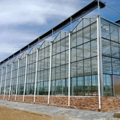  La casa verde de vidrio con sistema de hidroponía para hortalizas/flores y frutas