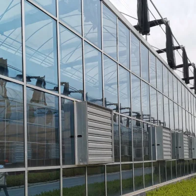  Multi-Span de vidrio plástico de película de invernadero Hydroponic para el cultivo de verduras