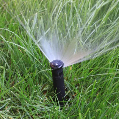  Big Garden Lawn agua Plástica y riego de fertilizantes Rociador
