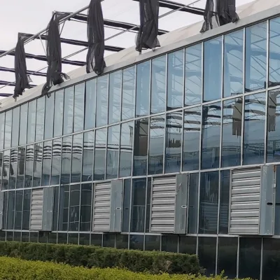  Jardín Invernadero con sistema hidropónico de efecto invernadero de cristal