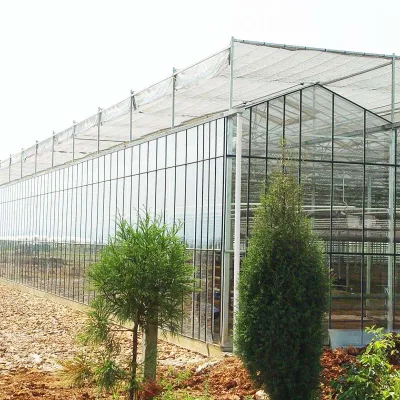  Invernadero de vidrio Venlo Multi-Span para uso comercial con sistema hidropónico NFT