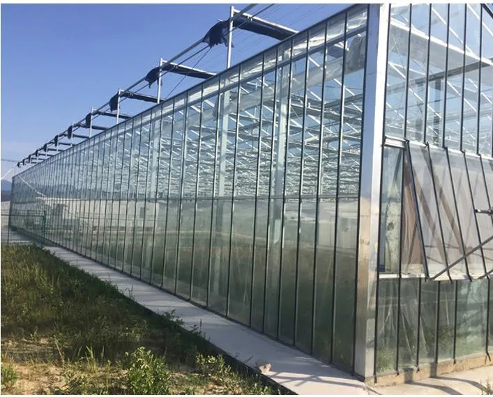 Solar Greenhouse Heavy Duty Glass Commercial Hydroponic Greenhouse