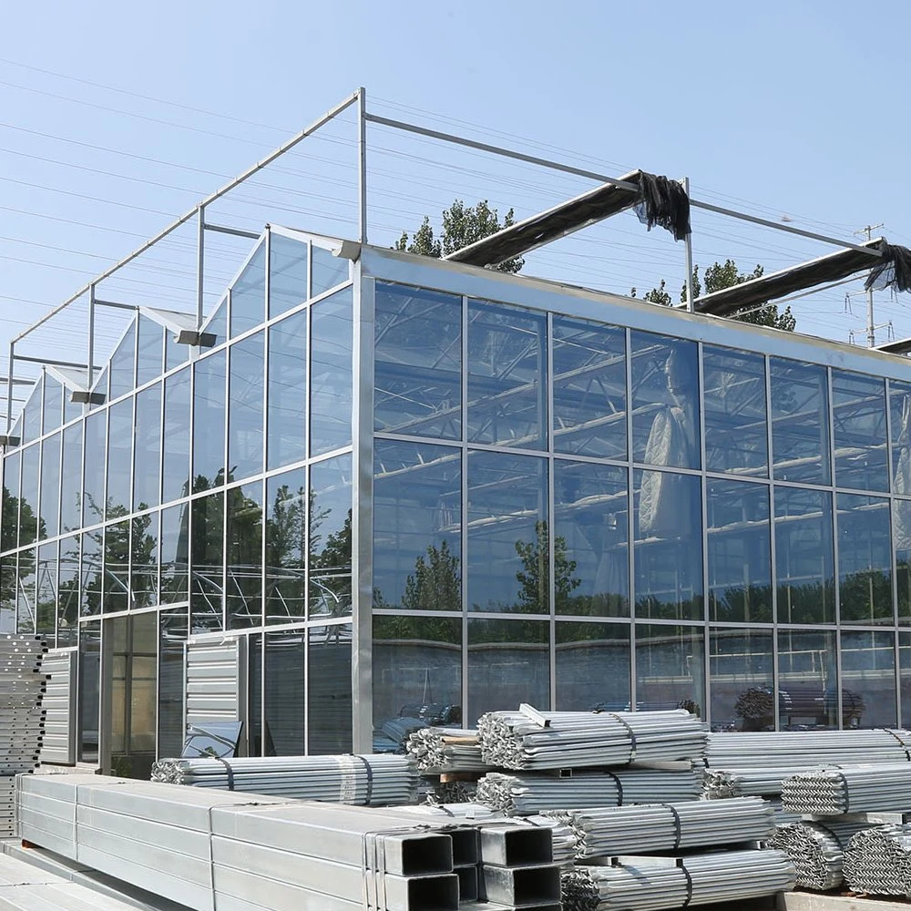 Hot Galvanized Venlo Greenhouse Insulated Tempered Glass Greenhouse