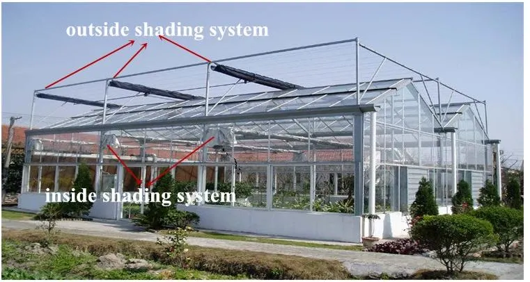 Venlo Multi-Span Glass Greenhouse for Commercial with Nft Hydroponic System