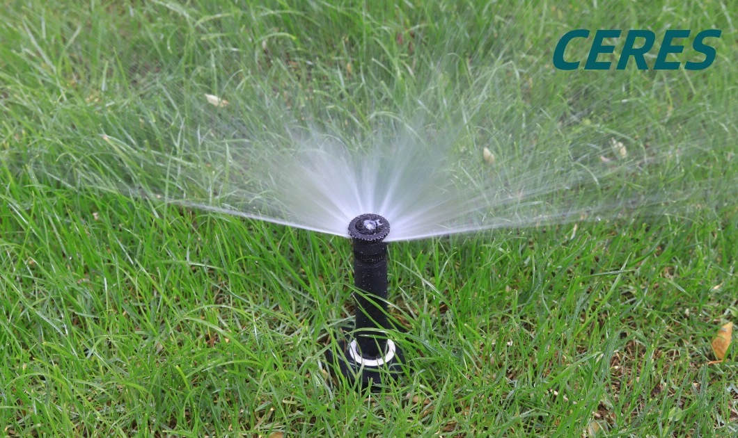 Pop up a Sprinkler System Adjustment with Different Scattering Nozzle for Sale