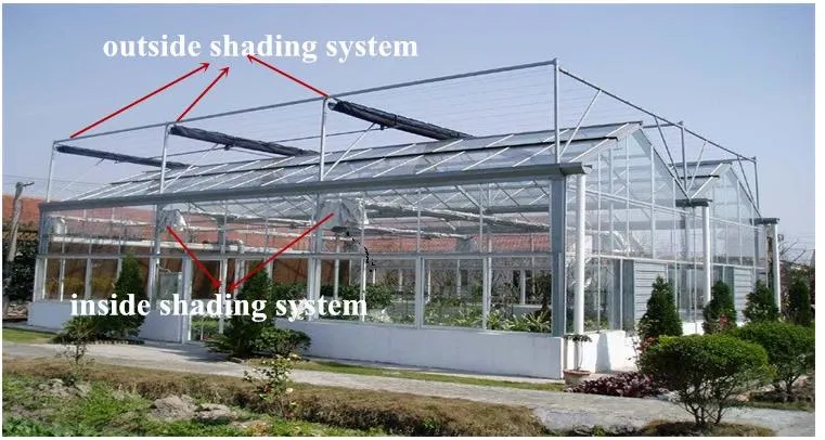 Multi-Span Agricultural Venlo Glass Greenhouses with Shading System