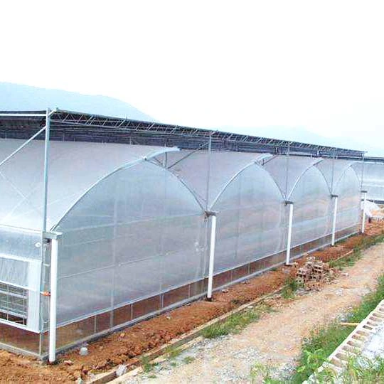 Solar Greenhouse Heavy Duty Glass Commercial Hydroponic Greenhouse