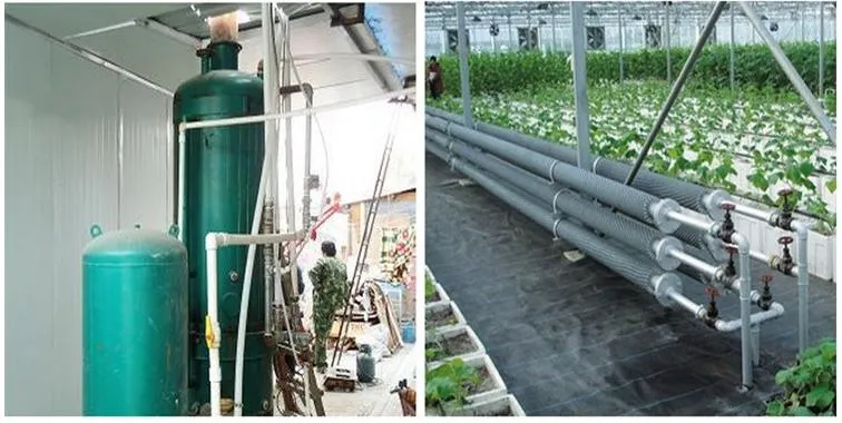 Agriculture Glass Greenhouse for Vegetables