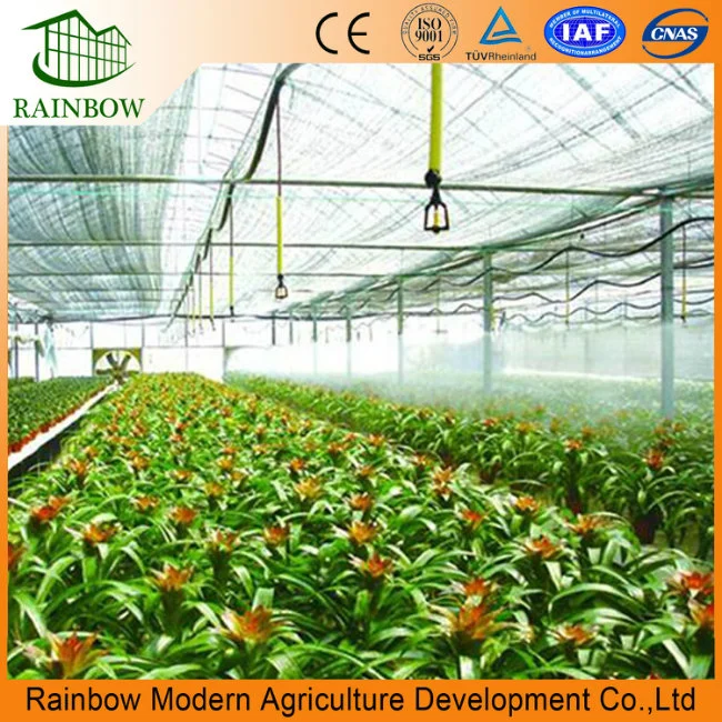 Micro Sprinkler Irrigation Greenhouse China Manufacturer