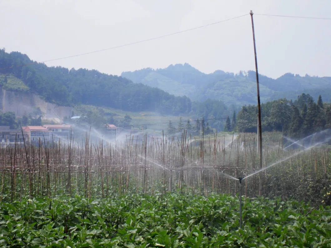 Impact Irrigation Sprinkler for Sprinkler Irrigation System, 1/2&quot;