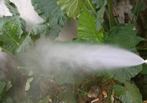Metal Fogging Mist Irrigation Dry Fog Spraying Nozzles Air Atomizing Fog System Manufacturer