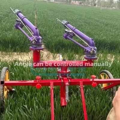  Impianto di irrigazione automatico mobile per tubi sprinkler agricoli con avvolgitubo utilizzato in Grande fattoria