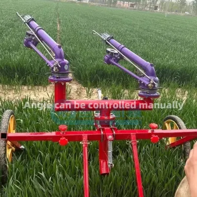 Impianto di irrigazione automatico mobile per tubi sprinkler agricoli con avvolgitubo utilizzato in Grande fattoria