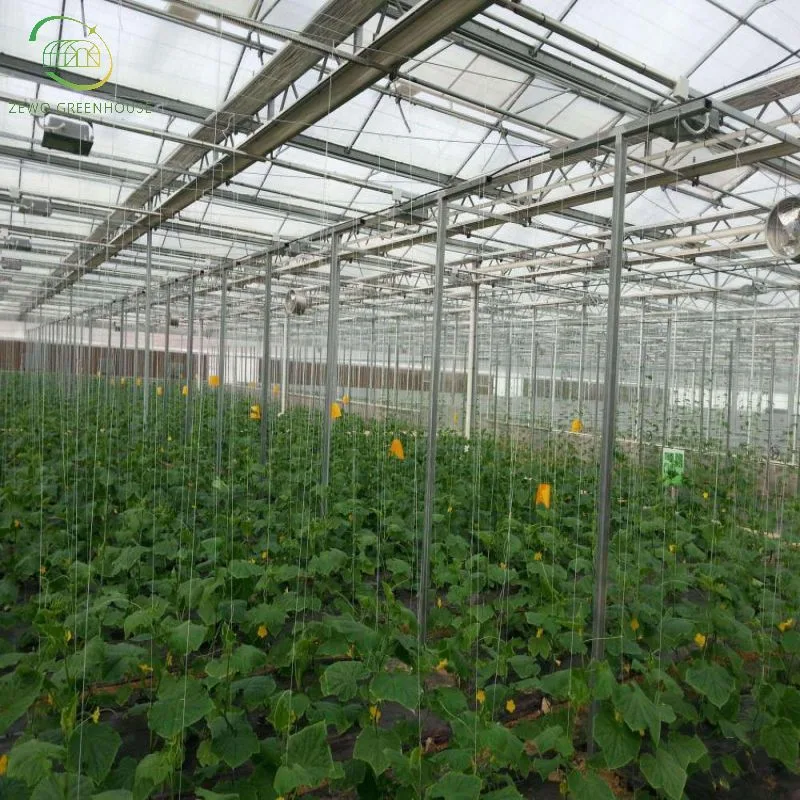 Microirrigatori pop-up: il nuovo sistema di irrigazione che rivoluziona l'agricoltura