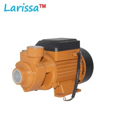 1/2HP Qb60 водяной насос латунный ударный электрический периферический вихрь микроповерхностный сельскохозяйственный ирригационный насос