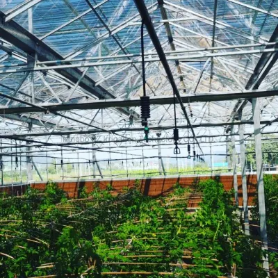 Новая технология автоматического орошения Micro Garden перевернутом положении разбрызгивающие