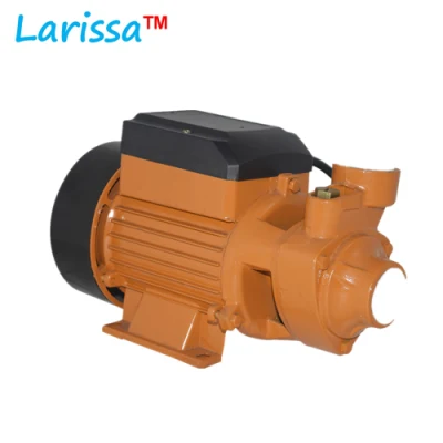 1/2HP Qb60 водяной насос латунный ударный электрический периферический вихрь микроповерхностный сельскохозяйственный ирригационный насос